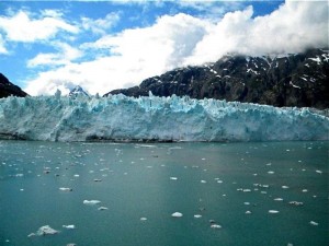 glacier bay 8